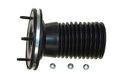 Sachs 802-842 Rear Strut Mount 