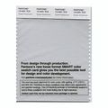 Pantone Smart Swatch 13-4201 Oyster Mushroom 