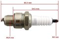 Tdpro Cdi Coil Ignition Magneto Stator Spark Plug For 50cc 60 66cc 80cc Engine Motorized Bike