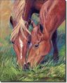 Sharing By Marsha Mcdonald Equine Horses Art Ceramic Accent Tile 10 X 8 Kitchen Shower Backsplash 
