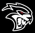 Zic Motorsports Dodge Hellcat Red Eye Steel Sign Black 