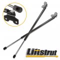 Aintier Automotive Replacement Shock Lift Supports Fit For Acura Legend 1991-1995