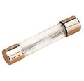 Agc Glass Fuse 4110-1 10 Amp 1 4 In Dia X 1-1 4 L 