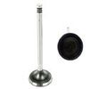 025109601c Intake Valve For Engine Performance Part Number 