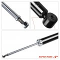 A-premium Rear Pair 2 Shock Absorber Compatible With Volkswagen Eos 2007 2008 2009 2010 2011 2012 2013 2014 2015 2016 Driver