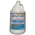 Hammerhead M2128 Marine Descaler Gallon Bottle 1 Case 