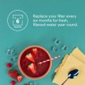 Everydrop By Whirlpool Ice Filter F2wc9i1 Single-pack