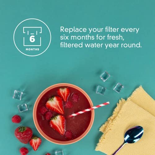 Everydrop By Whirlpool Ice Filter F2wc9i1 Single-pack