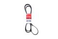 Motorcraft Jk81223aa V-ribbed Belt