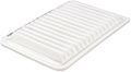 Fram Ca10171 Extra Guard Panel Air Filter 