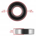 Caltric Rear Brake Panel O-rings And Bearing Compatible With Honda Foreman Rubicon 500 Trx500fga 4x4 2004-2008