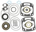 Complete Engine Gasket Set 09-711189 For Arctic Cat Bearcat Cougar Ext Pantera Panther Zl And Zr Models 