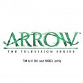 Graphics More Arrow Tv Series Emerald Archer Floating Keychain Oval Foam Fishing Boat Buoy Key Float
