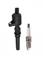 8 Ignition Coil Pack And Spark Plug Set For Ford Mustang Crown Victoria F150 E150 E250 Expedition Explorer 4 6l V8 Replace 