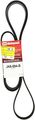 Motorcraft Jk6984b V-ribbed Belt 