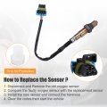 Uxcell Front Rear Left Right Oxygen Sensor For Buick Enclave 2009-2011 No 12607333 Plastic Metal Blue Black