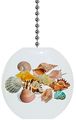 Seashell Grouping Solid Ceramic Fan Pull 