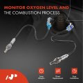 A-premium O2 Oxygen Sensor Compatible With Chevrolet Equinox 2005-2007 Impala Monte Carlo 2006-2007 Uplander Buick Rendezvous