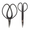Bamboomn Bonsai Basics Set 7 2 Trimming Shears Heavy Duty Butterfly Shear 1 