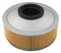 Hiflofiltro Hfa2801 Premium Oe Replacement Air Filter 
