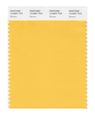 Pantone Smart 13-0947x Color Swatch Card Banana 