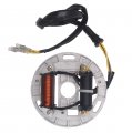 Bh-motor New Stator For Suzuki Lt80 Lt Quadsport 80 1987-2006 Replace 32101-40b00 21003-s005