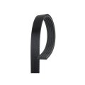 Standard V Ribbed Serpentine Belt For Oldsmobile Alero 2002 2003 2004 5 Ribs 0 667 In Top Width 1 033 Mm Effective Length 