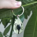 Cxuemh Glow Black Scorpion Keychain Bug Pendant Resin With Real Specimen For Men Key Ring Jewelry Black