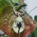 Cxuemh Glow Black Scorpion Keychain Bug Pendant Resin With Real Specimen For Men Key Ring Jewelry Black