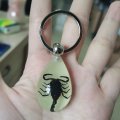 Cxuemh Glow Black Scorpion Keychain Bug Pendant Resin With Real Specimen For Men Key Ring Jewelry Black