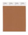 Pantone Smart 17-1336x Color Swatch Card Bran 