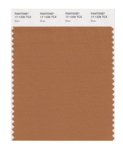 Pantone Smart 17-1336x Color Swatch Card Bran