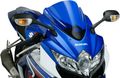 Puig 4629a Blue Racing Screen 