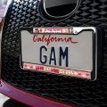 Wizard Of Oz Dog Person Full Size Standard License Plate Metal Frame