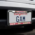 Wizard Of Oz Dog Person Full Size Standard License Plate Metal Frame