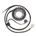 Electrosport Esg097 Stator Suzuki Ls650 Boulevard 