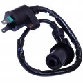 Glenparts Ignition Coil For E-ton Viper 50 Rx Eton Rxl 50 2002 2003 2004 811614 Rx-l50 