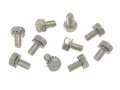 1962-1982 Corvette Timing Chain Cover Bolt Set 327 350 10 Pieces 