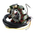 Glenparts 12 Volt Stator Magneto Generator For Polaris Oem J N 340-22013