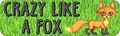 Stickertalk Crazy Like A Fox Magnet 10 Inches By 3 