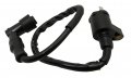 Ignition Coil For Kawasaki Klx 110 2002-2011