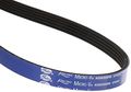 Gates K050350rb Blue Racing Micro-v Belt 