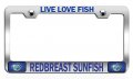 Live Love Fish Redbreast Sunfish Fishing Chrome Metal License Plate Frame Tag Holder B58 