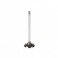 Melling V5126 Intake Valve 