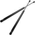 Rear Tailgate Lift Support Gas Struts For Kia Rio 2005 And Rio5 2006 2011 Pm3071 19 3 In Extended Length Set Of 2 