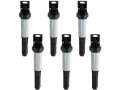 Ignition Coil Kit 6 Piece For 2003-2005 Bmw 325xi 