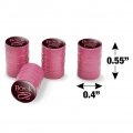 Book Worm With Earthworm Glasses Tire Rim Wheel Aluminum Valve Stem Caps
