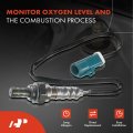 A-premium O2 Oxygen Sensor Compatible With Ford F-150 Escape Excursion Focus Crown Victoria Lincoln Town Car Mazda Tribute