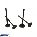Tc-motor Intake Exhaust Valves For Daytona Anima 150 190 Flx Fdx Fe 4v Engine 150cc 190cc Motor Dirt Pit Bike