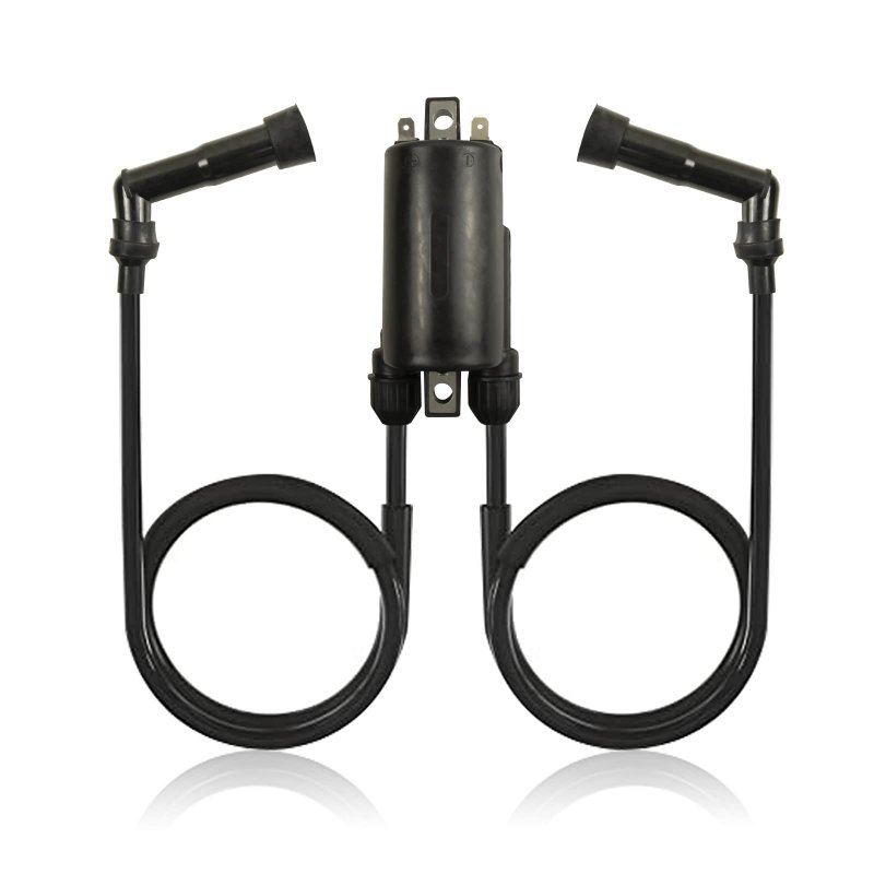 2 Pcs Ignition Coil And 4 Spark Plug Caps For Honda Cb650 Cb750 1979 1982 Cb900 1980 Cb1000 1983 Goldwing 1100 1200 Nighthawk